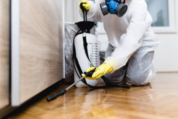 Pest Prevention Services in Redland, AL