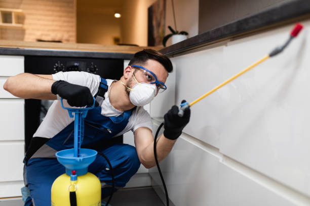 Best Affordable Pest Control Services  in Redland, AL