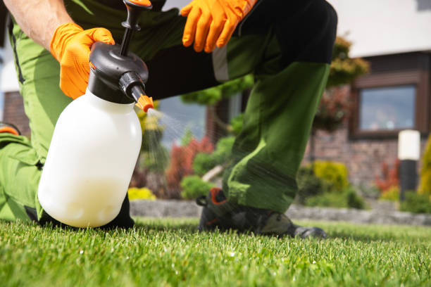 Best Pest Control for Restaurants  in Redland, AL