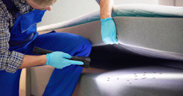 Best Pest Prevention Services  in Redland, AL