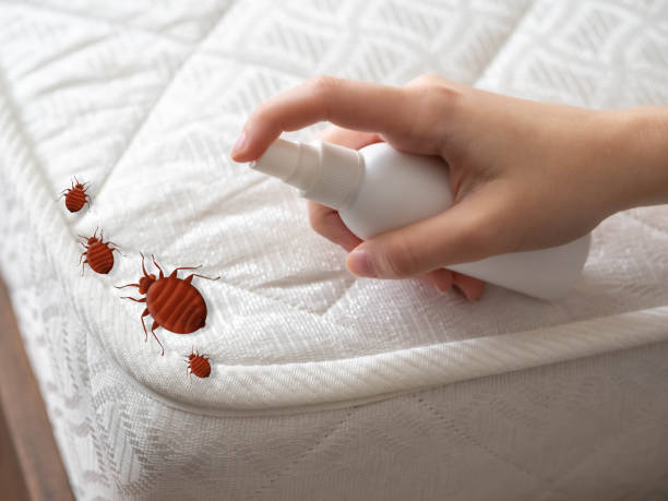 Best Emergency Pest Control  in Redland, AL