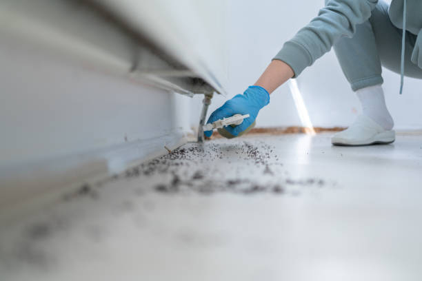 Best Rat Extermination Near Me  in Redland, AL